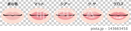 ＜ベクター素材＞ リップメイクの質感比較イラスト5種セット（日本語版・肌の塗りあり） 143663458