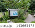 荒井沢市民の森 143663478