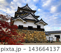 紅葉と国宝彦根城天守閣 143664137
