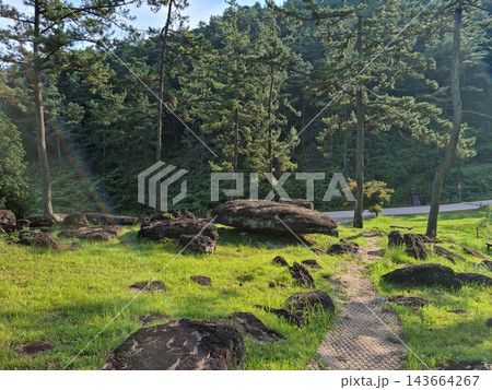 This is a dolmen park where the sun shines. 143664267