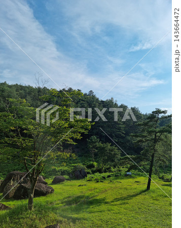 This is a dolmen park with dolmens in the grass. This is a dolmen park with dolmens in the grass. 143664472