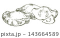 Composition whole scallopini squash, a half and pieces. Hand drawn sketch. Vector clipart of a patisson. Line drawing of a summer vegetable. Retro style illustration imitating an engraving technique. 143664589