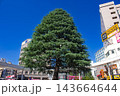 大塚駅前の街路樹 143664644