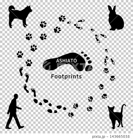 Set of 4 animal footprint/paw print silhouettes (dog, cat, rabbit, human) - monochrome Set of 4 animal footprint/paw print silhouettes (dog, cat, rabbit, human) - monochrome 143665038