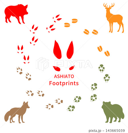日本の野生動物の足跡イラストセット（猪・鹿・タヌキ・キツネ）カラー 143665039
