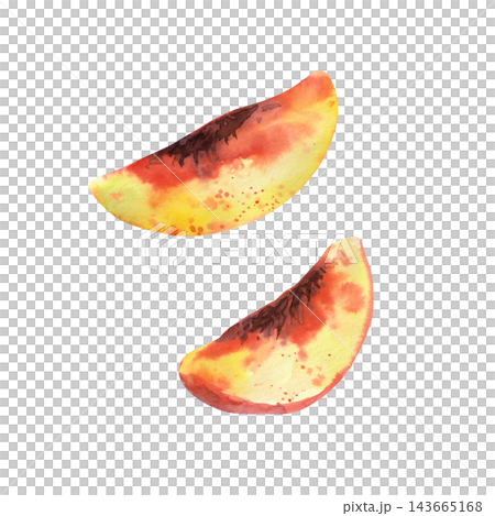 Two juicy peach wedges without pits, painted in realistic watercolor with warm orange and pink tones, for food illustrations, recipes and summer design projects Two juicy peach wedges without pits, painted in realistic watercolor with warm orange and pink tones, for food illustrations, recipes and summer design projects 143665168