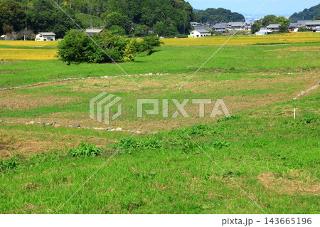 飛鳥京跡苑池 飛鳥京跡苑池 143665196