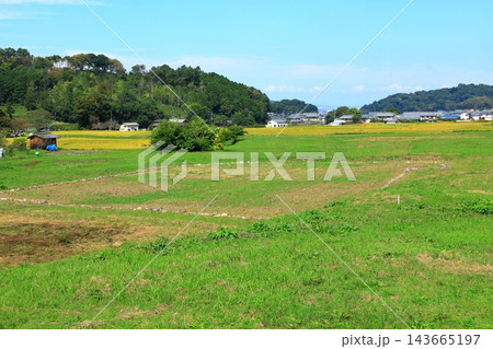 飛鳥京跡苑池 143665197