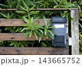 風雨にさらされて色あせてしまった黒い郵便受けと色鮮やかな緑の庭木 143665752