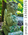 岡山・新見・荒戸神社 岡山・新見・荒戸神社 143665978