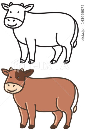 Cute Cartoon Cow Vector Illustration with Outline and Colored Version 143666073