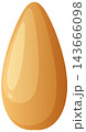 Single Pine Nut Kernel Vector Illustration on White Background 143666098