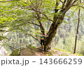 Rear view of a female hiker in activewear resting hand on a large tree trunk on a cliff edge, overlooking a vast, dense mountain forest in summer 143666259