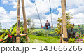 Happy sporty male traveller swinging on wooden swing, enjoying summer vacation in pristine green nature at Jatiluwih rice terraces on Bali, Indonesia. Freedom and life enjoying concept. 143666266