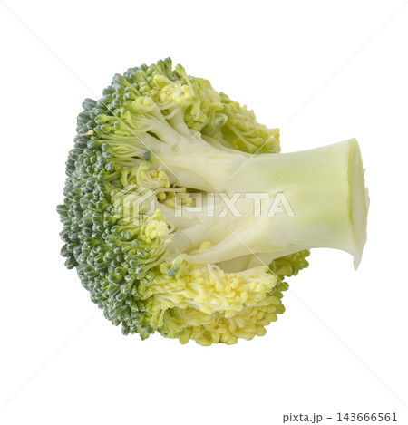 close up of fresh broccoli isolated on a white background close up of fresh broccoli isolated on a white background 143666561