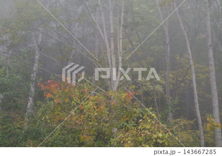 晩秋の群馬県中之条町の渋峠から見た朝霧の中の風景です。たくさんのカメラマンが集まって場所を確保に大変 晩秋の群馬県中之条町の渋峠から見た朝霧の中の風景です。たくさんのカメラマンが集まって場所を確保に大変 143667285