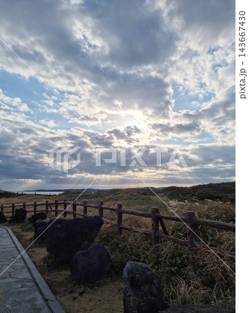 Dark Seopjikoji scenery with cloudy sky and walking path Dark Seopjikoji scenery with cloudy sky and walking path 143667430