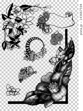 Hand-drawn plant illustrations and plant frames Hand-drawn plant illustrations and plant frames 143667594