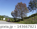 長野県小川村の県道沿いにあるアルプス展望台駐車場から広場への案内板と少し紅葉を始めた樹々 143667821
