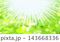 新緑　木洩れ日　16：9 143668336