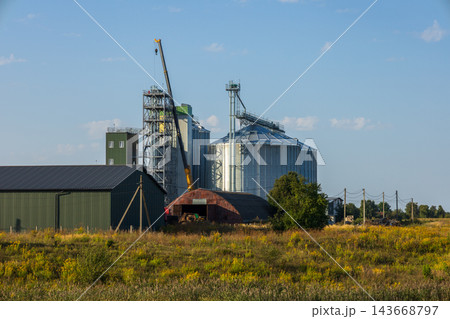 Rising majestically, the grain silos dominated the serene countryside, surrounded by fields and industrial structures, under a sunny sky 143668797