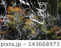 紅葉背景と流れる水 143668973