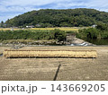 秋の農村風景　稲架掛けされた稲と収穫後の田んぼ、川と緑豊かな山並み 143669205