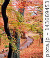 紅葉の落ち葉の道 143669453