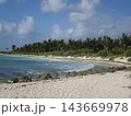 Tropical beach with palm trees and turquoise ocean waves 143669978