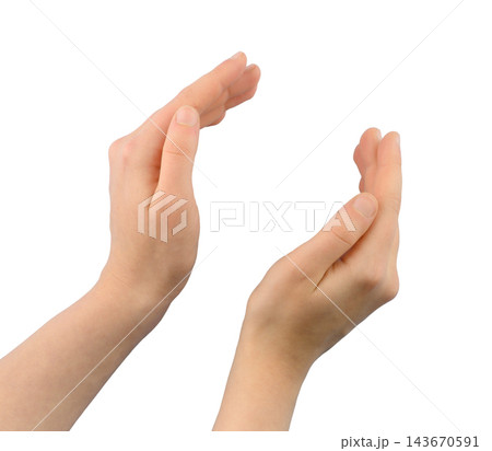 Pair of female hands cupped together with fingers slightly curved on transparent Pair of female hands cupped together with fingers slightly curved on transparent 143670591