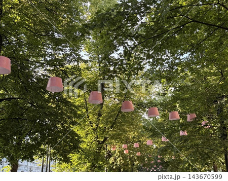 Pink lanterns suspended among leafy green trees in a sunlit woodland canopy creating a festive background Pink lanterns suspended among leafy green trees in a sunlit woodland canopy creating a festive background 143670599