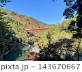 紅葉に包まれる大井川鉄道井川線の車窓風景➀ 143670667