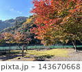 紅葉に包まれるアプトいちしろ駅の大井川河岸 143670668