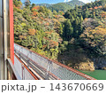 紅葉に包まれる、大井川鉄道井川線長島ダム湖② 143670669
