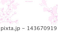 桜の花の手描き線画和風背景イラストバナー・Web広告・ヘッダー・フレーム・メッセージカード素材セット 143670919