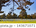 Normandy American cemetery, Colleville-sur-Mer, France 143671071