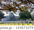Normandy American cemetery, Colleville-sur-Mer, France 143671079