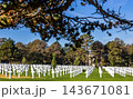 Normandy American cemetery, Colleville-sur-Mer, France 143671081
