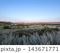 Open grassland with silvery wild vegetation and rolling hills at sunset 143671771