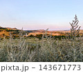 Tall wild plants in the foreground of a sunlit rolling countryside 143671773