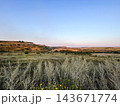 Wild grasses and yellow flowers across a rolling countryside landscape 143671774