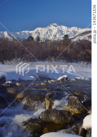 白馬村から望む冬の五竜岳 白馬村から望む冬の五竜岳 143671836
