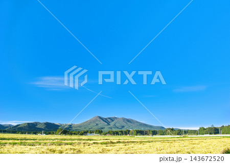 栃木県那須塩原市　金色に染まる稲穂と那須岳の風景 143672520