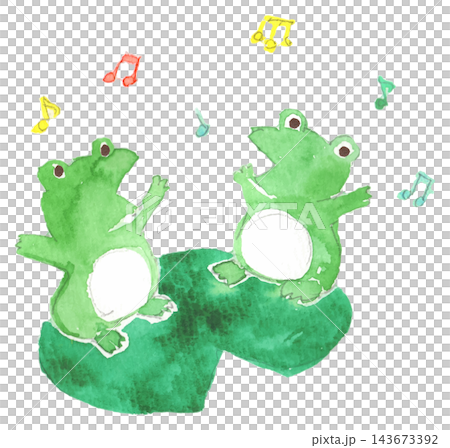 Watercolor illustration of frogs singing in a chorus Watercolor illustration of frogs singing in a chorus 143673392