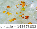Colorful Autumn Maple Leaves Floating on Rippling Water Over Pale Blue Tiles for Seasonal Backgrounds 143673832