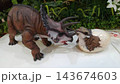 卵からこんにちは!小さな恐竜の誕生 143674603