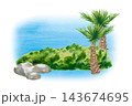 Watercolor tropical landscape with palm trees, green bushes and sea rocks on an isolated background 143674695