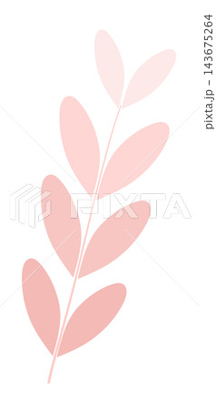 Pastel pink leaf branch stem botanical decorative element sticker print visual graphic clipart artwork design icon illustration Pastel pink leaf branch stem botanical decorative element sticker print visual graphic clipart artwork design icon illustration 143675264