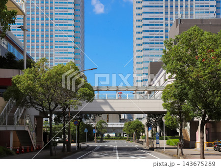 海浜幕張ビジネス街の間に広がる街路樹と歩道橋 海浜幕張ビジネス街の間に広がる街路樹と歩道橋 143675289