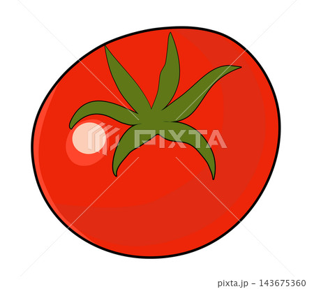 Fresh red whole tomato with green stem vegetable food element sticker print visual graphic clipart artwork design icon illustration 143675360